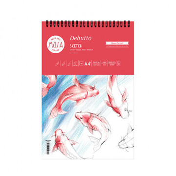 Debutto - Blocco da Disegno...