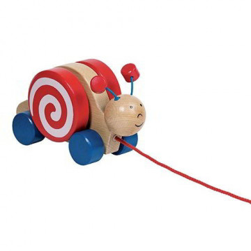 Soggetti Trainabili in Legno