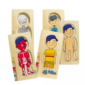 Multi Puzzle Anatomico