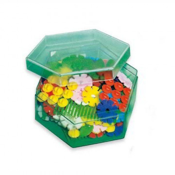 Fiorincastri in Scatola