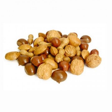 Decori Vari per Vetrine