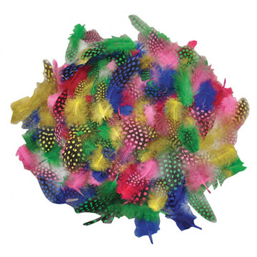 Piume Tropicali in Set